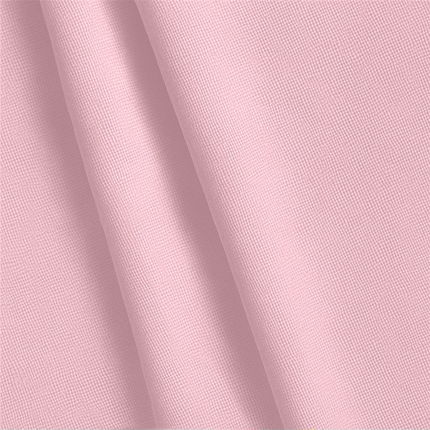 Pureegg Color Series 203-2