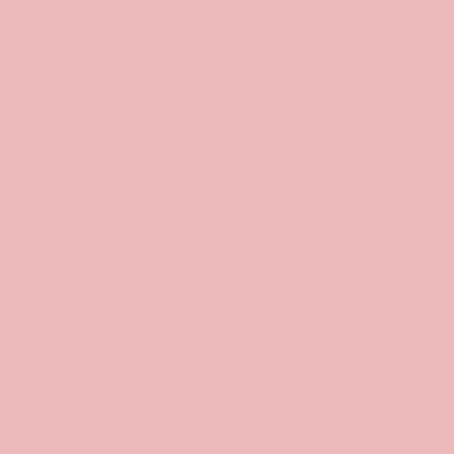 US12200-10 V1