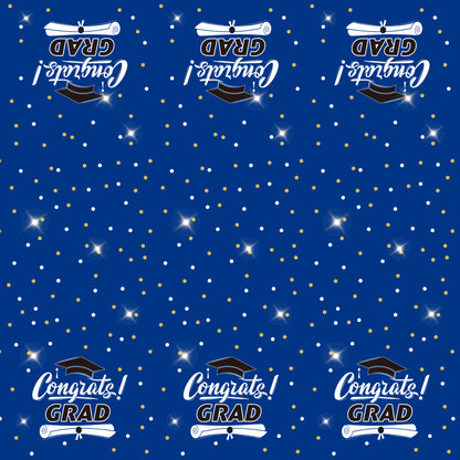 US12200-10 V1
