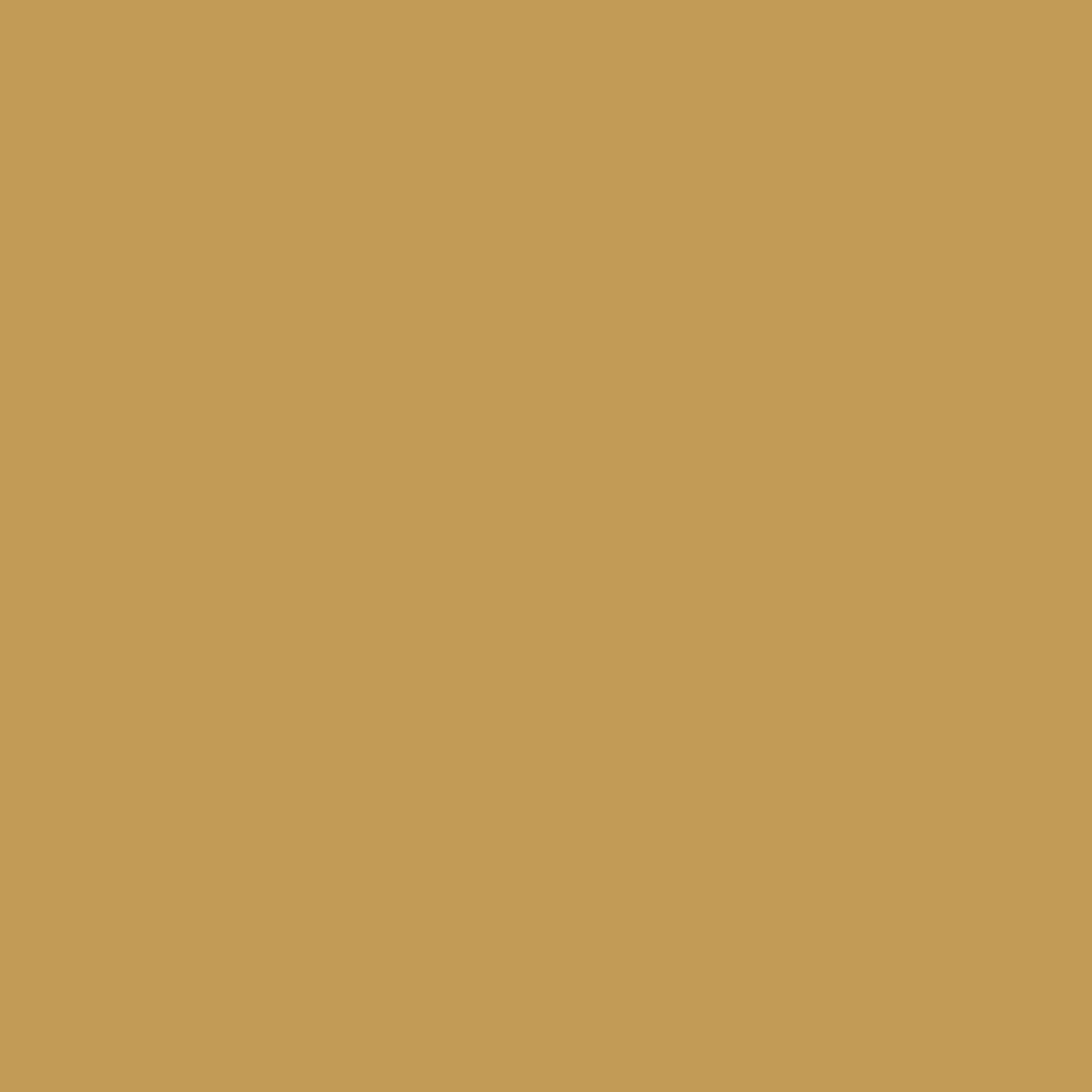 US12200-10 V1