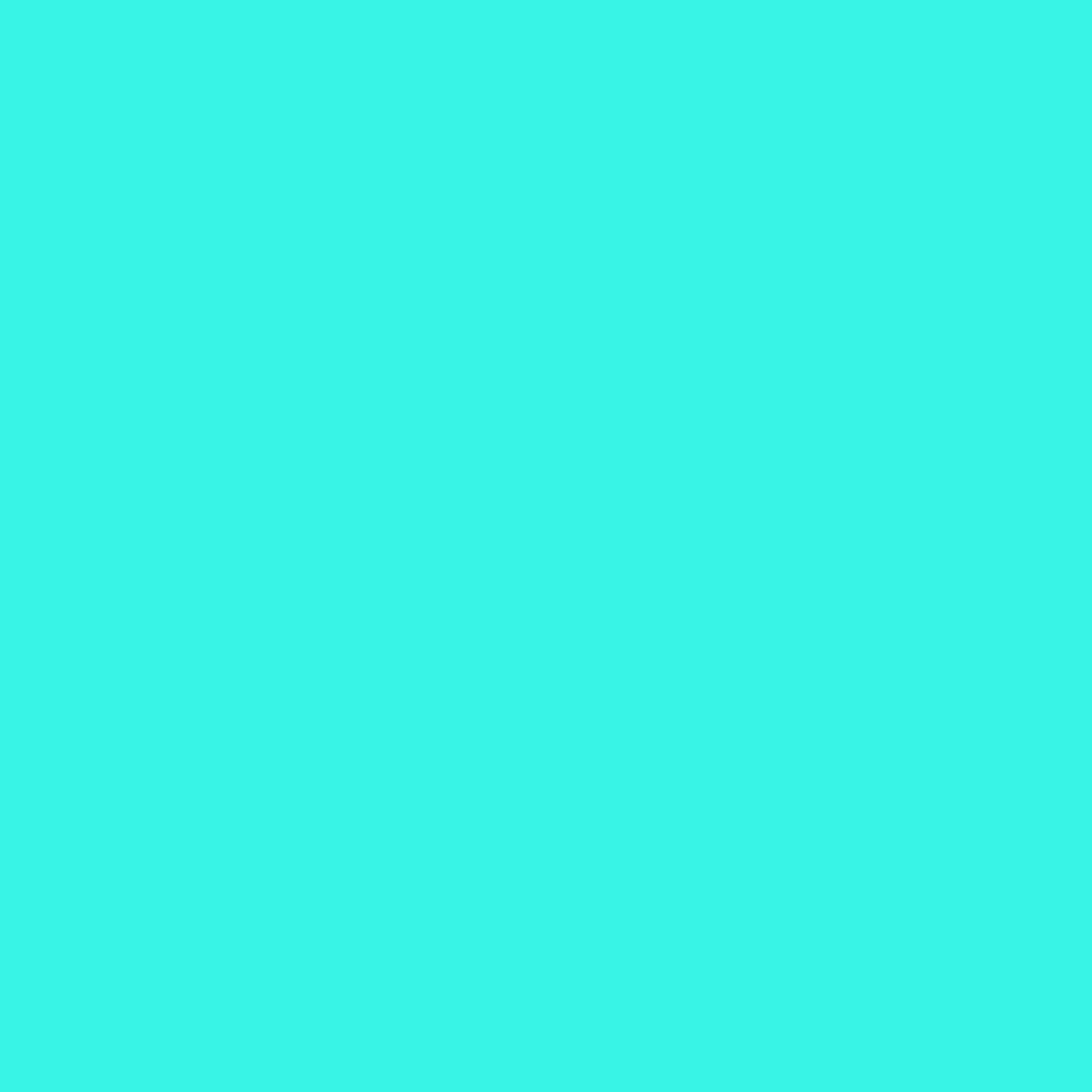 US12200-10 V1
